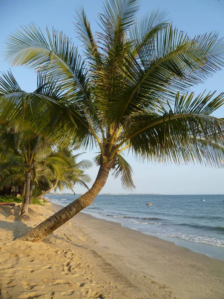 Vietnam Wyspy Wrażenia Phan Thiet — Zdjęcie stockowe