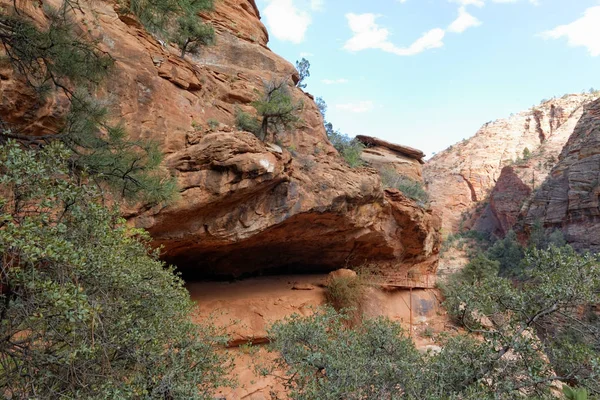 Zion National Park Utah United States — стоковое фото