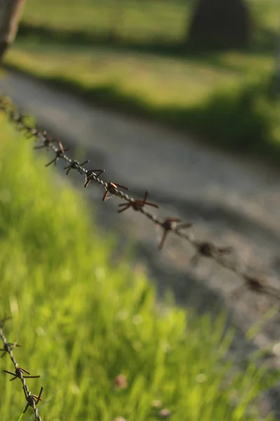 Sektionen För Taggtrådsstängsel Est Europe Rumänien — Stockfoto