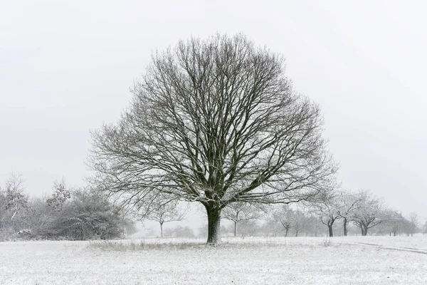 Bela Vista Paisagem Inverno — Fotografia de Stock