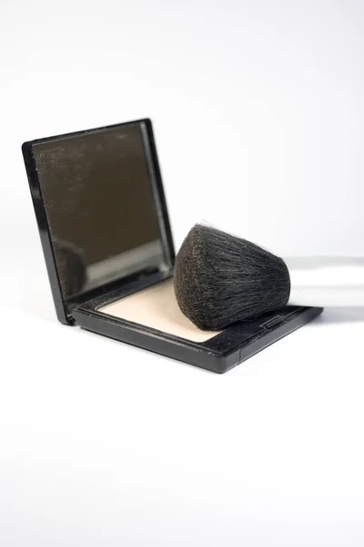 Set Professional Make Brushes Powder — Stok fotoğraf