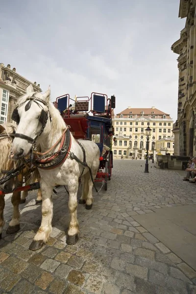 Άμαξα Άλογα Στην Παλιά Πόλη Της Dresden Στη Γερμανία — Φωτογραφία Αρχείου