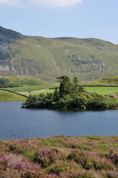 Jezero Llynnau Cregennen Poblíž Mrtvoly Idris — Stock fotografie