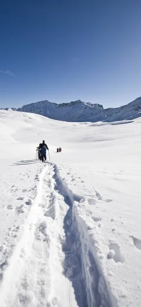 Ομάδα Έναν Οδηγό Για Περιήγηση Snowshoe Στο Δάσος Bregenz — Φωτογραφία Αρχείου