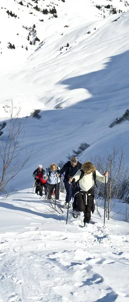 Grupa Wycieczkę Rakiety Śnieżnej Lesie Bregencja — Zdjęcie stockowe