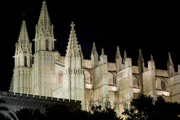 Die Kathedrale Seu Von Palma Mallorca Spanien — Stockfoto