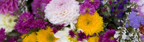 Verschillende Bloemen Selectieve Focus — Stockfoto