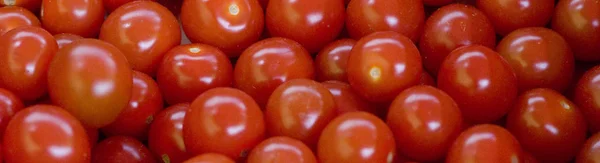 Ripe Tomatoes Crate — Stock Photo, Image