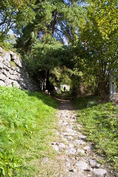 Jesienny Spacer Castelrotto Dolomitach Włoch — Zdjęcie stockowe