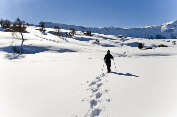 Snowshoeing Inverno Nos Dolomites Italia — Fotografia de Stock