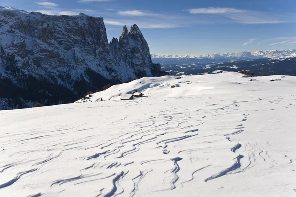 Winter Alpe Siusi Dolomites Italy — Stock Photo, Image