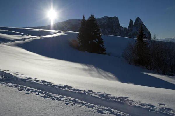 Inverno Alpe Siusi Dolomites Italia — Fotografia de Stock