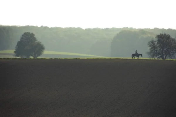 Rider His Horse Dirt Road Morning Mist — Stock Photo, Image