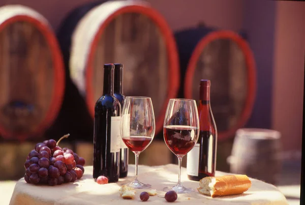 Червоне Вино Дегустація Вина — стокове фото