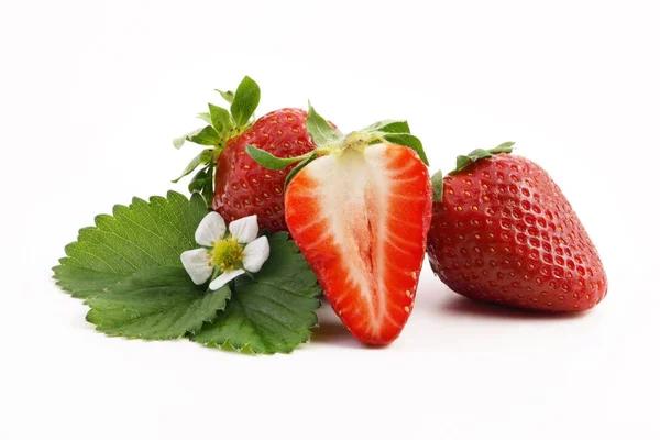 Beeren Nahaufnahme Gesundes Ernährungskonzept — Stockfoto