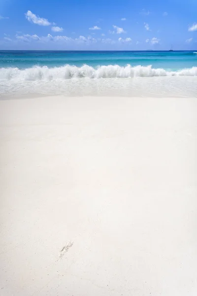 Egy Fehér Homokos Strand Sok Másolási Hellyel Digue Seychelle Szigetek — Stock Fotó