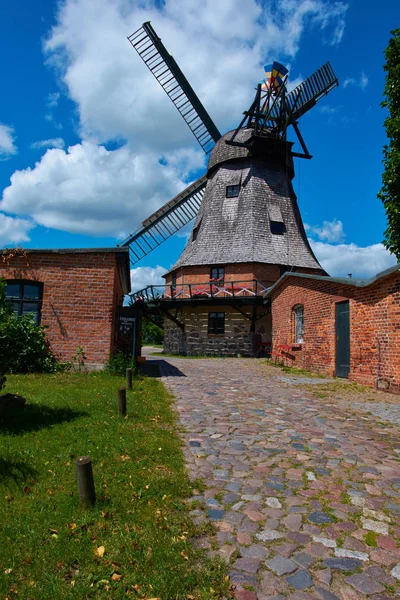 Tarihi Yel Değirmeni Malchow Mecklenburg Vorpommern Almanya — Stok fotoğraf