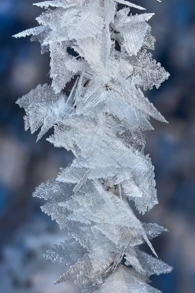 Cristales Hielo Heladas Invierno — Foto de Stock