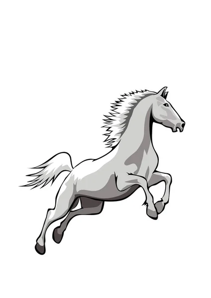 Vektorillustration Eines Pferdes — Stockfoto