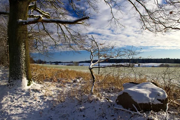 Kış Manzarası — Stok fotoğraf