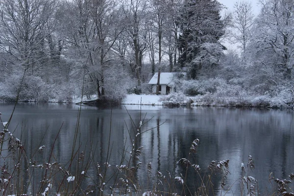 Belle Vue Nature Scène — Photo