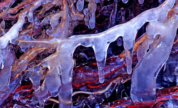 Raíz Árbol Con Corteza Hielo Arroyo Del Bosque Invierno —  Fotos de Stock