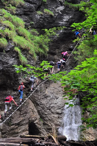 Barranco Sucha Bela Paraíso Los Espíritus Eslovaquia — Foto de Stock