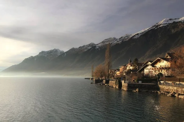 Kırsal Yaşam Seçici Odaklanma — Stok fotoğraf