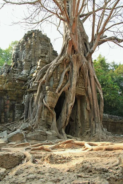 Phrom Angkor — Stockfoto