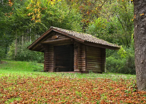 Дерев Яний Будинок Лісі — стокове фото