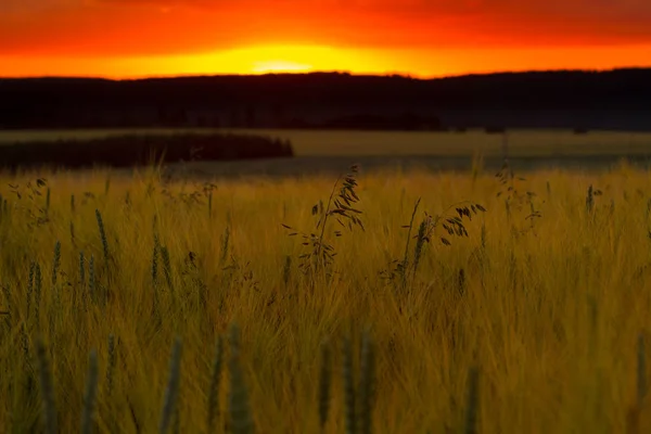 Hermosa Vista Zona Rural — Foto de Stock