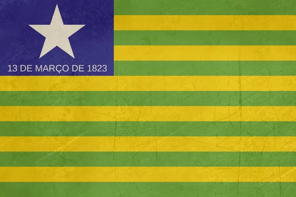 Bandiera Stato Grunge Piaui Brasile — Foto Stock