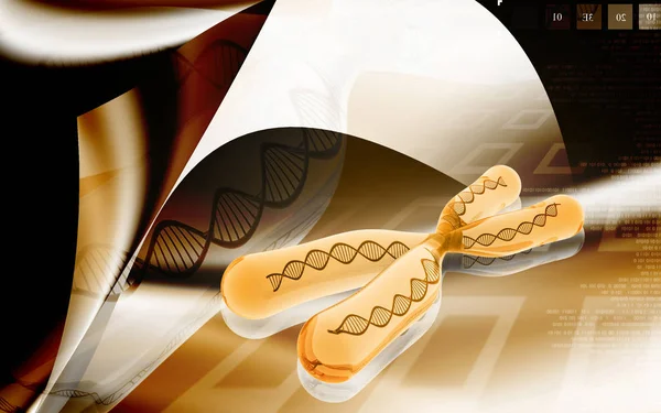 Digital Illustration Chromosome Colour Background — 스톡 사진