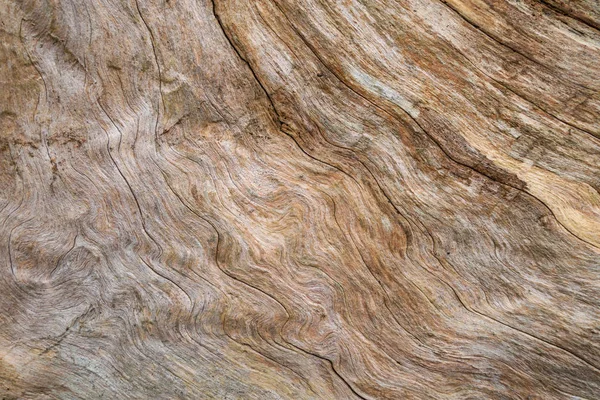 Vlnité Vzory Dřevě — Stock fotografie
