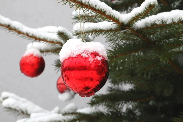 Γιορτινή Διακόσμηση Χριστουγεννιάτικων Δέντρων — Φωτογραφία Αρχείου