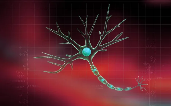 Digitale Illustratie Van Neuron Kleur Achtergrond — Stockfoto