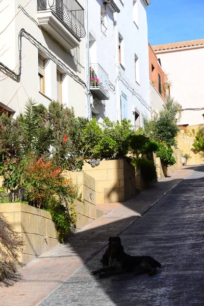 Maisons Façades Ibi Costa Blanca Spain — Photo