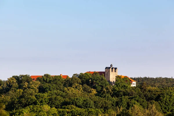 Ballenstedt Kalesi Bakan — Stok fotoğraf