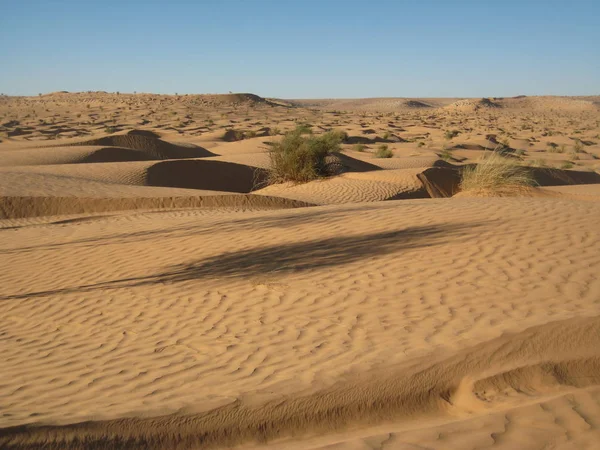 Superficie Del Desierto Paisaje Dunas —  Fotos de Stock