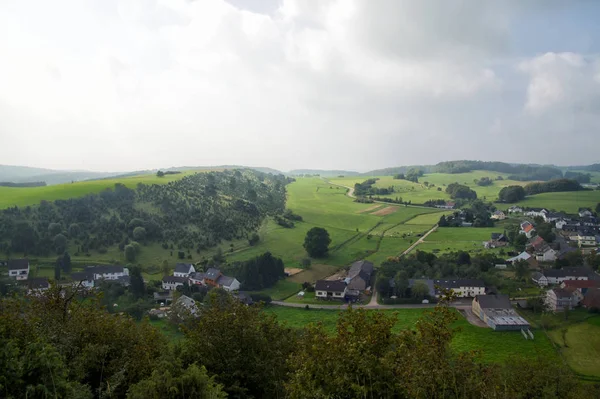 Eifel Impressies Met Jeneverbes — Stockfoto