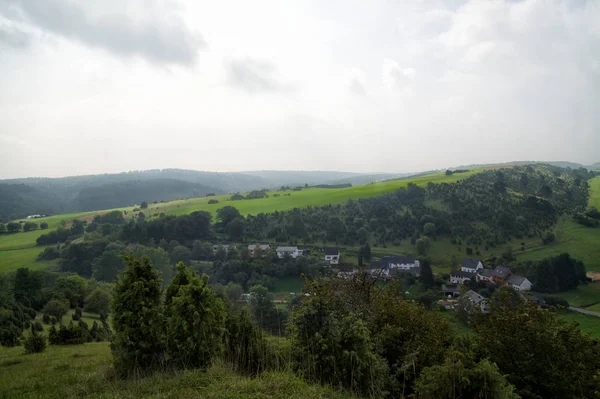 Eifel Benyomások Borókával — Stock Fotó