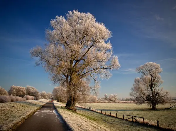 Malerischer Blick Auf Die Natur — Stockfoto