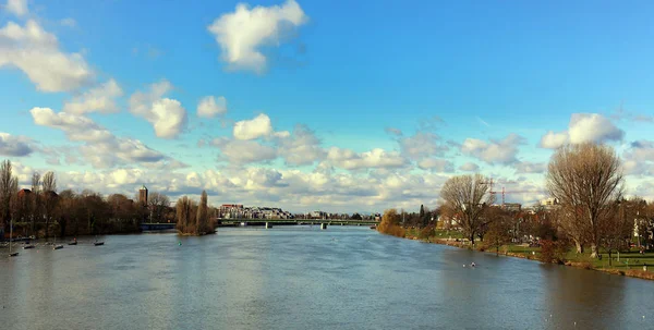 Heidelberg Neckar Voorhaven Ernst Walz Brug — Stockfoto