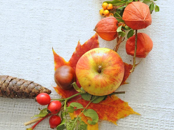 Autumn Still Life Arrangement Autumn October Season Apple Lampionblume Grapes — Stock Photo, Image