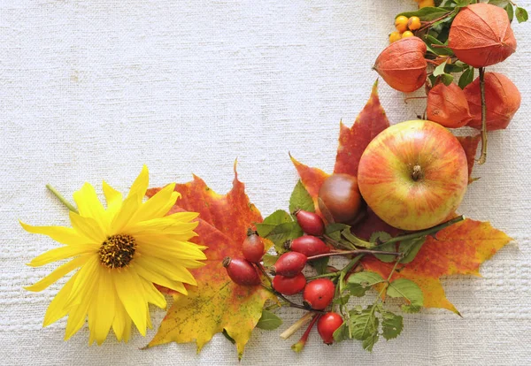 10月 リンゴ ラピオン ブドウ 秋の休暇 デコレーション フレーム — ストック写真