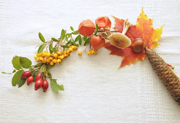 10月 リンゴ ランピオン花 ブドウ 秋の葉 フレーム コピースペース スペース — ストック写真