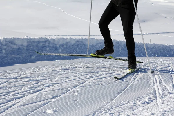 Eislaufen Ist Ein Beliebter Wintersport — Stockfoto