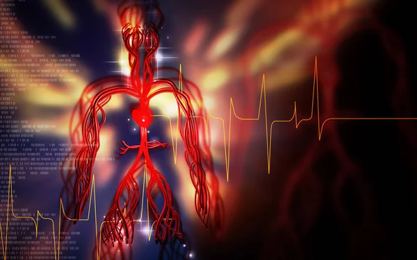 カラー背景の血管系のデジタルイラスト — ストック写真