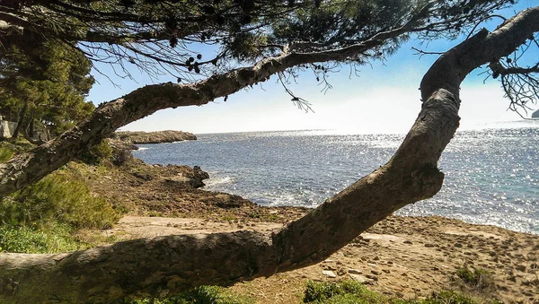 Costa Mar Mediterrâneo Norte Israel — Fotografia de Stock