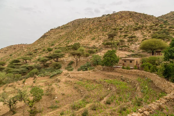 Las Escarpadas Montañas Región Hararge Con Árboles Acacia Creciendo Escasamente — Foto de Stock